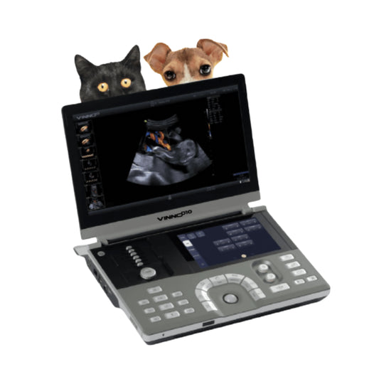 Ecógrafo Portátil VINNO D10 VET VINNO