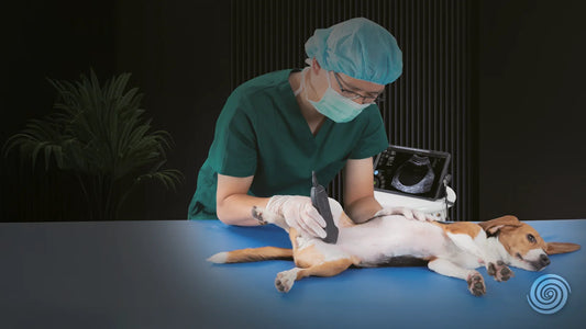 Equipos veterinarios 