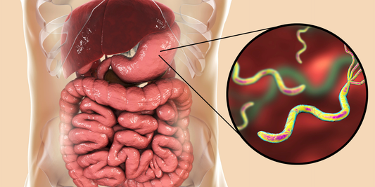 H. pylori endoscopia