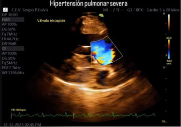 Diagnóstico y Tratamiento de la Hipertensión Pulmonar en Caninos