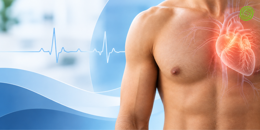 Holter de 24 Horas: Qué Es, Cómo Funciona y Preparación