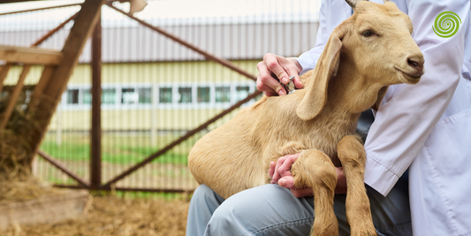 Medicina Veterinaria