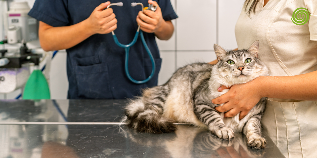 Medicina Veterinaria