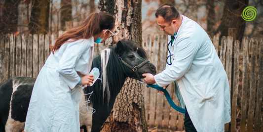 Medicina Veterinaria y Zootecnia