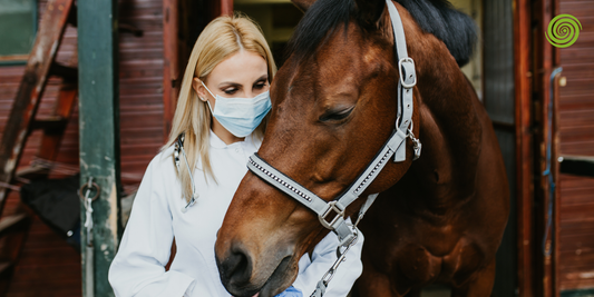 Monitores de ECG veterinarios