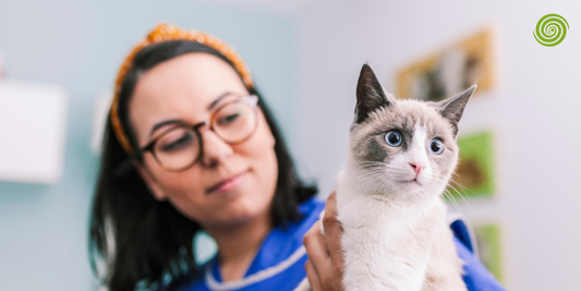 Rayos X en Veterinaria