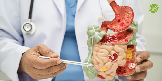 Sistema de endoscopia para gastroenterología qué incluye