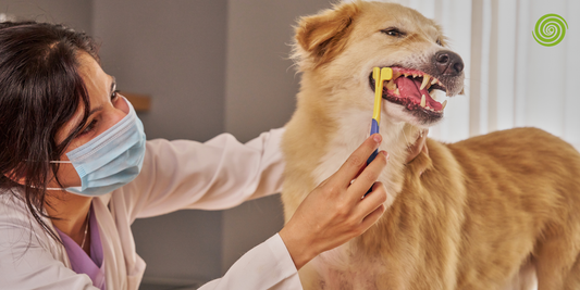 Sistemas de Monitoreo Remoto Veterinario