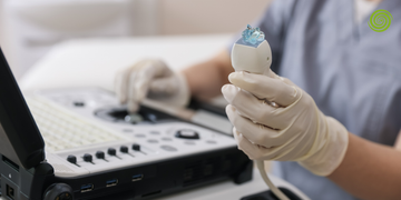 transductores ecografía