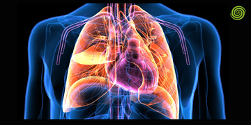endoscopia respiratoria
