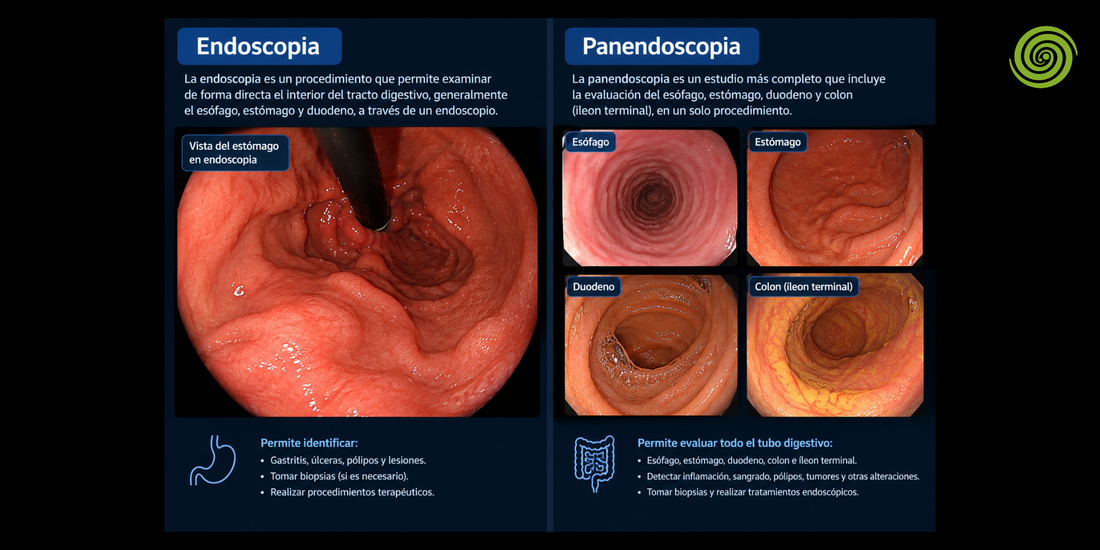 Endoscopia y panendoscopia es lo mismo