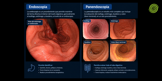 Endoscopia y panendoscopia es lo mismo