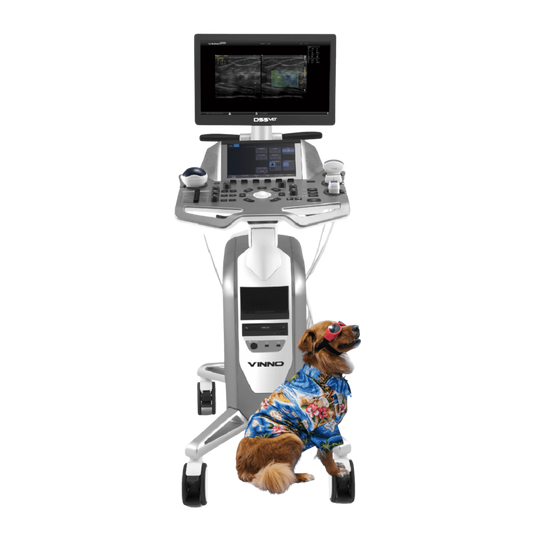 Ecógrafo VINNO D550 VET