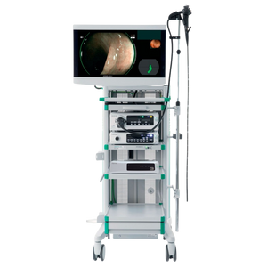 Torre de Endoscopia Fujinon ELUXEO 7000 | Sistema de Videoendoscopia Avanzado