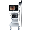 Sistema de Endoscopia LYNMOU VC-880 Series