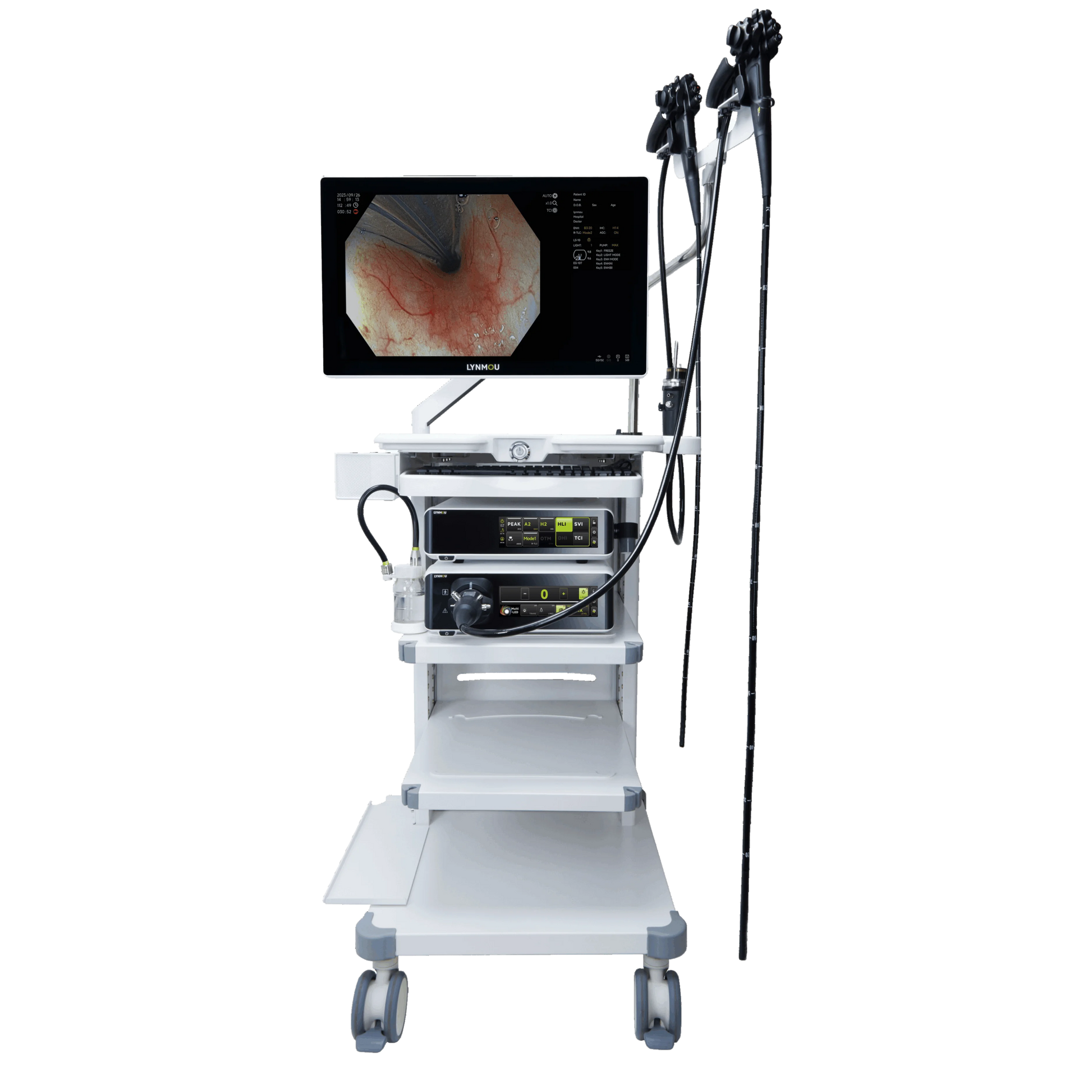 Sistema de Endoscopia LYNMOU VC-880 Series