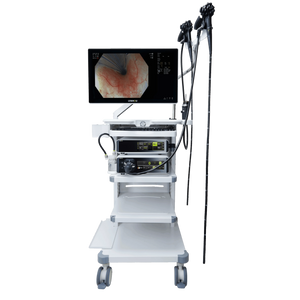 Sistema de Endoscopia LYNMOU VC-880 Series