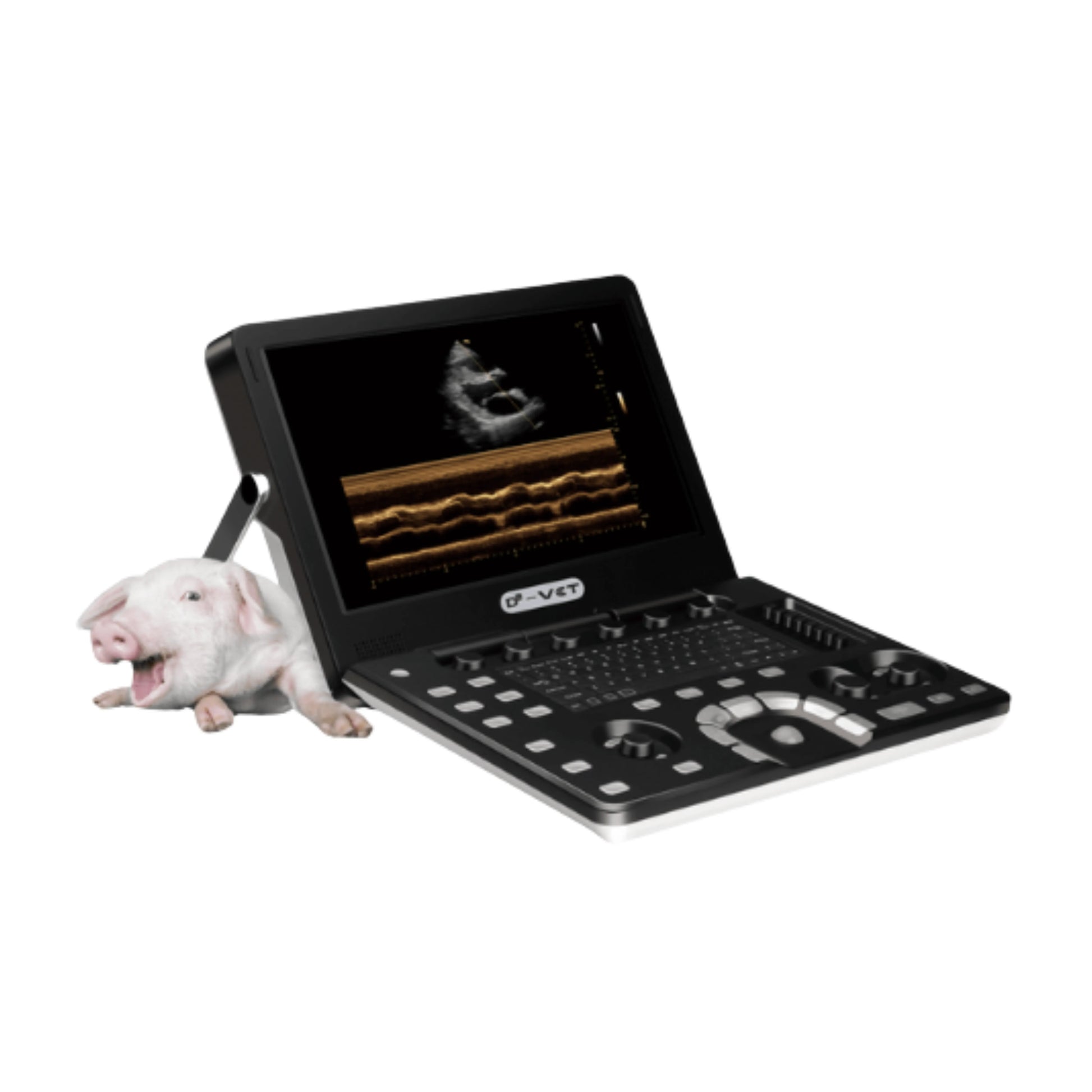 Ecógrafo Portátil VINNO D2 VET