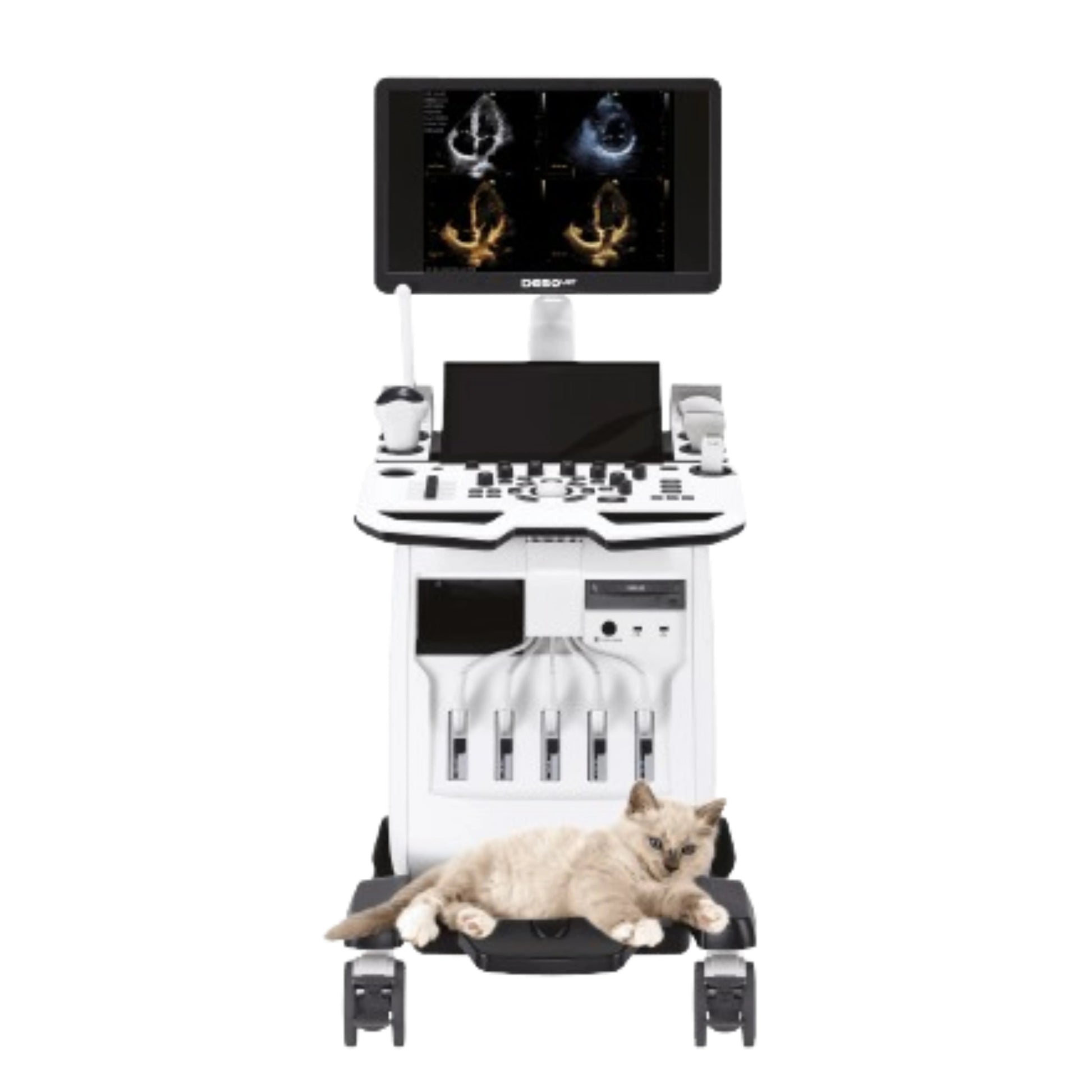 Ecógrafo VINNO D650 VET VINNO