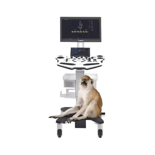 Ecógrafo VINNO X1 VET - GSMED